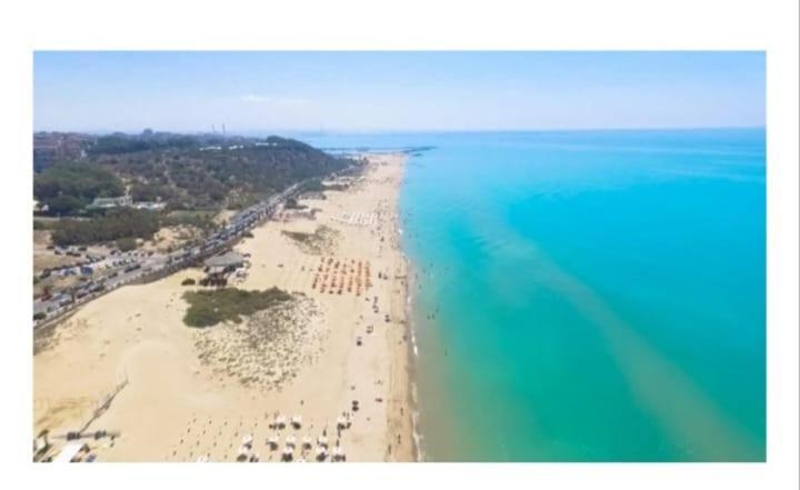 Le Dimore Di Ulisse A Gela - Casa Vacanza B&B - La Nave Greca Esterno foto